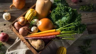 5 root veggies your gut will thank you for
