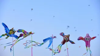 How flying a kite can boost your mood