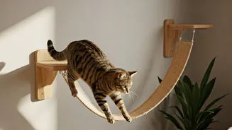 Indulge Your Feline Bestie With Vertical Wall Bridges Safely