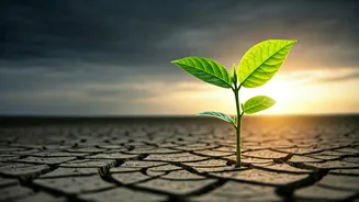 The Art of Adaptability: Raising Resilient Children in a Changing World