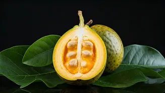Pitomba: A Vitamin C Boost for Your Health