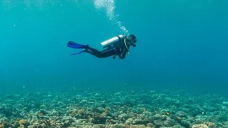 The First Scuba Lesson Teaches How Different Underwater Movement Feels