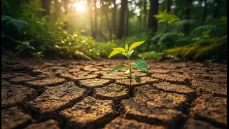 Nature-Led Fitness Should Not Become Another Expensive Wellness Product