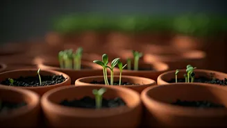 Small Pots Are The Smart Green Hack