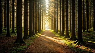 Navigating Life's Ups & Downs: Mental Health & Well-being