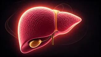 Revitalize Your Liver: 5 Essential Yoga Poses for Optimal Health