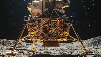 NASA Study Tests Bacteria and Fungi Under Lunar-Like Conditions