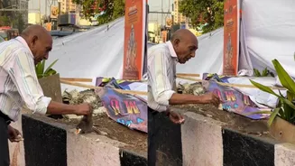 'Idhar Aa' - And They Listen! Elderly Man's Unusual Bond With Rats As He Feeds Them Is Viral | WATCH