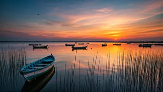 Chennai's Pulicat Lake: Why You Should Explore