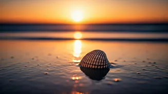 Glow Up: Your Ultimate Guide to Achieving a Perfect Sun-Kissed Tan Safely