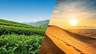 India's Year-Round Travel Guide: 12 Unforgettable Destinations Month by Month