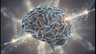 Why historic medical assumptions about cerebellum simplicity are debunked by new discovery