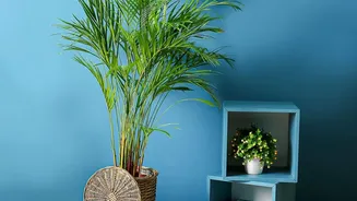The Role of Turning Spare Corners into Storage in the Awkward-Corner Design Trend