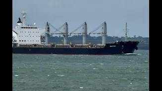 2 Indians Missing After Merchant Ship Hit At Ukraine's Odesa Port, Search Underway
