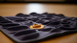 Craft Peanut Butter Puzzle Mats For High Energy Indoor Puppies