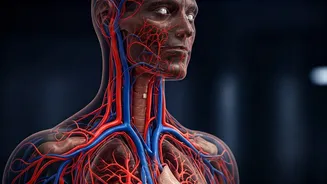 5 Expert Tips: Boost Blood Circulation Naturally