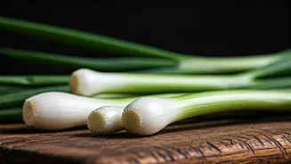 Spring Onion Delights: 10 Dishes to Try!