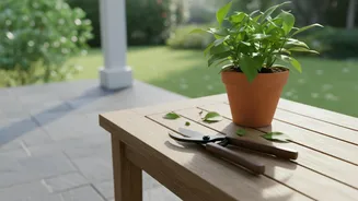 Checking Plant Type Comes First after the Start of August Pruning