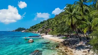 Seven-Month Results Confirm a Strong 2026 for Phu Quoc Tourism