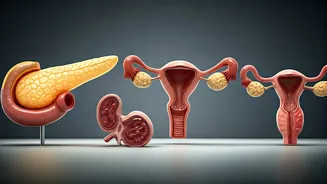 Related Stories banner