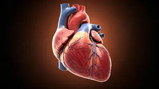 Heart Health: Everyday Habits to Avoid