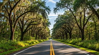 Louisiana Road Trip Guide: Unforgettable Adventures for Every Traveler