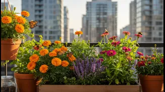 Urban Gardening Has Entered Its Pollinator Era