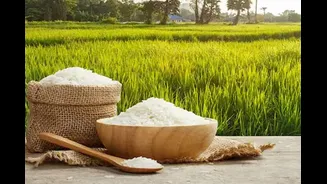 Your Daily Plate Of Basmati Rice Might Be Healthier Than You Think