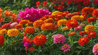 Bright Garden Colours Are Winning Plant-Parent Hearts