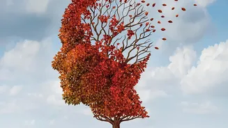 A Closer Look At The Science Of Remembering As New Memory Research Makes News