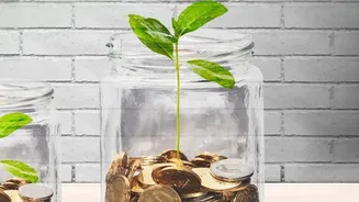 Master Your Paycheck: The 50/30/20 Rule Breakdown For Rent, UPI Spends, And Investments