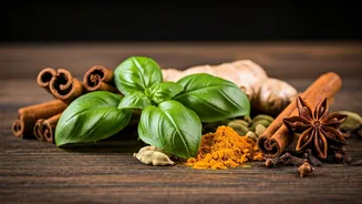 Post-Diwali AQI: 7 Herbs & Spices to Breathe Easier