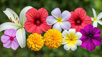 Related Stories banner