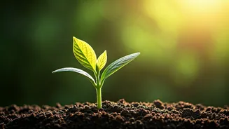 Related Stories banner