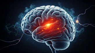 Unlocking Brain Agility: How Environment & Society Amplify Brain Aging Risk