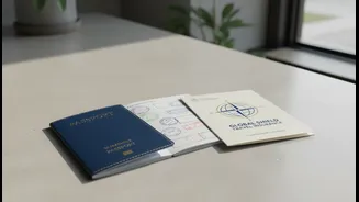 Frequent Trips Need Space For Annual Insurance And Passport Costs