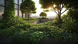 The Terrace Forest Trend Is Growing Across India