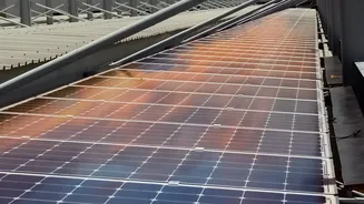 How Bio-Synthetic Melanin Derived From Squid Ink Absorbs Solar Radiation To Save Panels