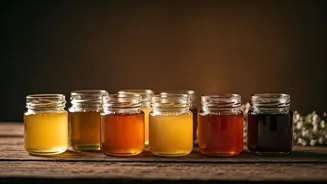 A Honeyed Journey: Exploring 8 Distinct Honey Varieties