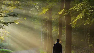 Why a Consistent Walking Ritual Can Feel Mentally Grounding