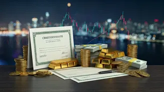 Pro Masters: A Deep Dive into Market Strategies