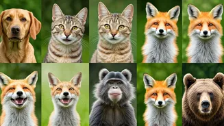 10 Adorable Animal Smiles To Brighten Your Day!