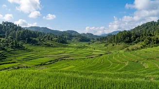 Work From Ziro Valley: Remote Workation Hacks For Visiting Arunachal Music Festival Grounds
