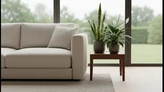 Why Thoughtful Placement Of Moisture-Sucking Indoor Greenery Complements Anti-Mould Textile Interior Setups