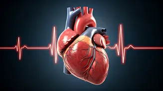 Unlocking the Secrets of a Healthy Heart: Insights from a Cardiologist
