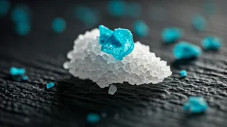 New Study Shows How Microplastics Are Contaminating Indian Food