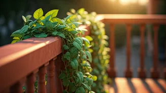 Trailing Greens Are Perfect For Sunny Indian Balconies