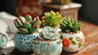 Drainage Still Matters Even When A Planter Is Decorative As Grouped Ceramic Pots Can Create A More Cohesive Indoor Display