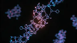 Related Stories banner