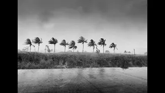 Sudden Rain and Strong Winds Bring Relief to Kotputli, Rajasthan